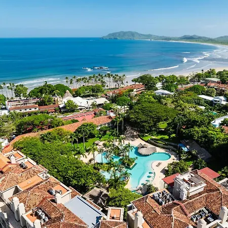 Oceanview In Town Huge Pool Beach Acss